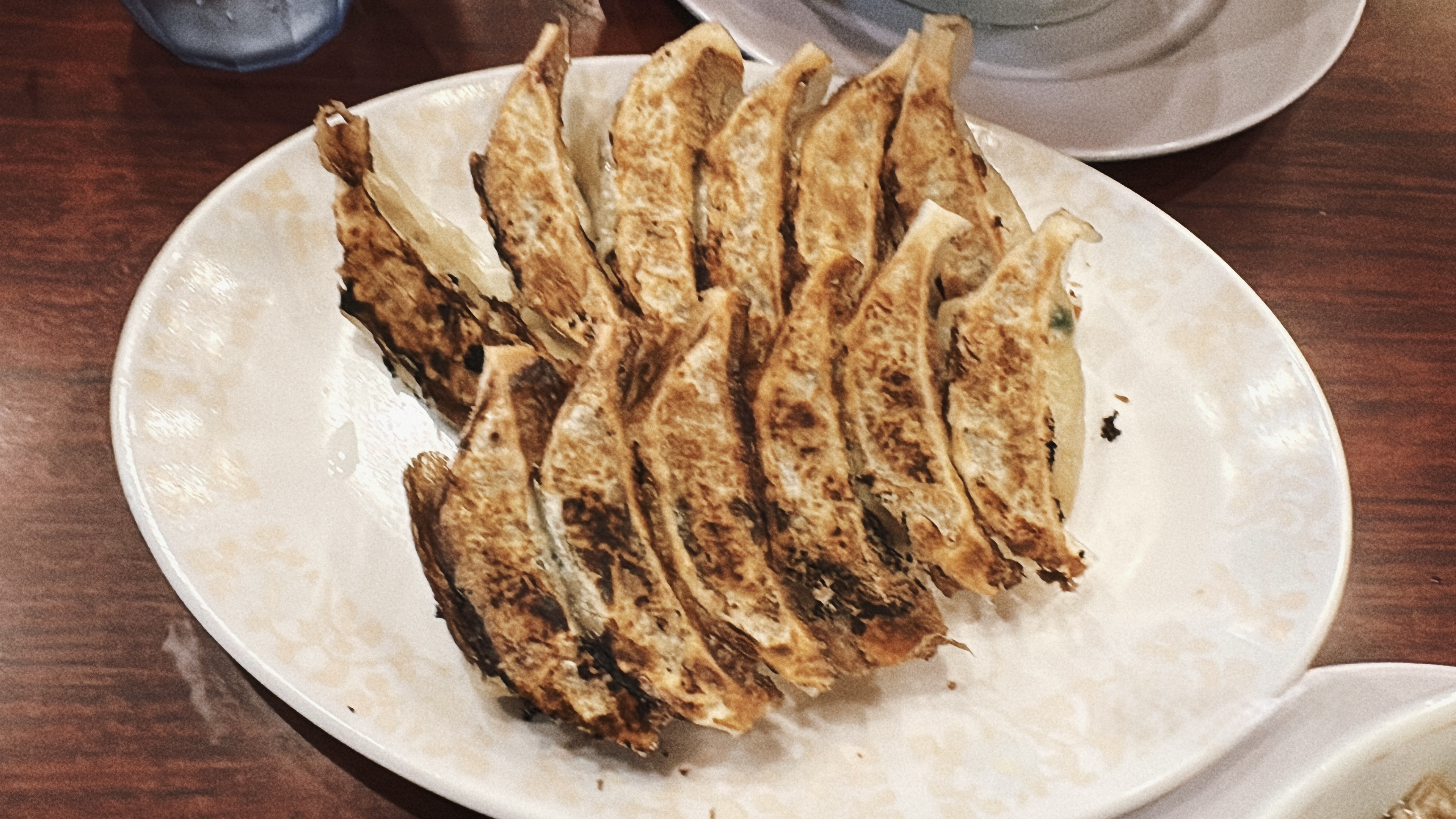 焼き色のついた餃子の写真。皿に並べられている